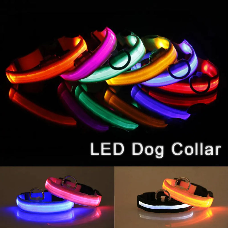 "Illuminate Your Pup's Nighttime Adventures with our Stylish and Waterproof LED Dog Collar - Ensuring Safety and Fashion!"