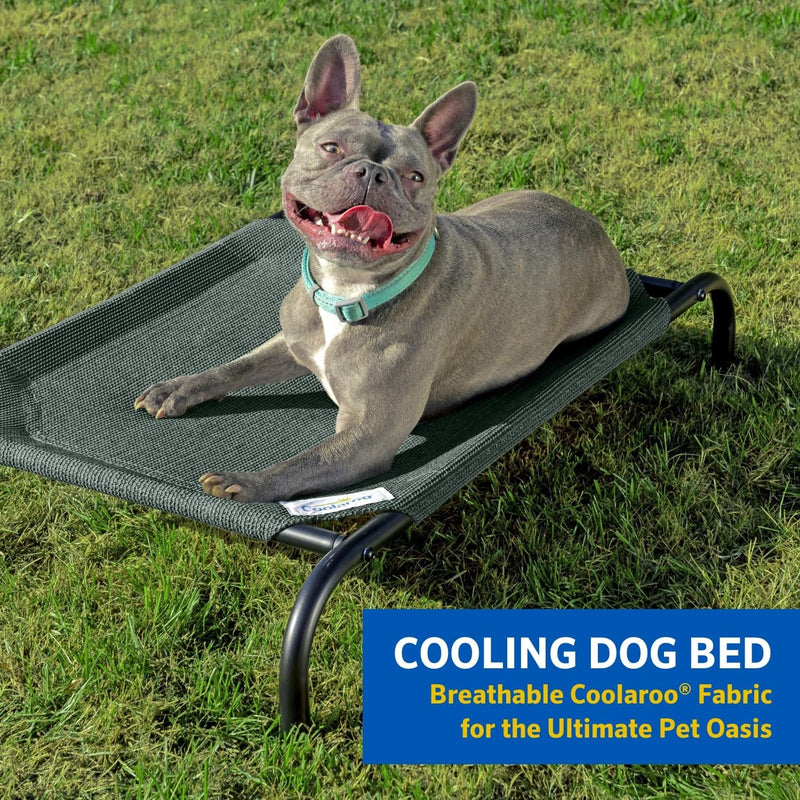 "Stay Cool and Comfy: The Ultimate Elevated Dog Bed for Indoors and Outdoors - Medium Size in Sleek Gunmetal"