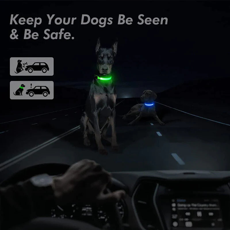 "Illuminate Your Pup's Nighttime Adventures with our Stylish and Waterproof LED Dog Collar - Ensuring Safety and Fashion!"