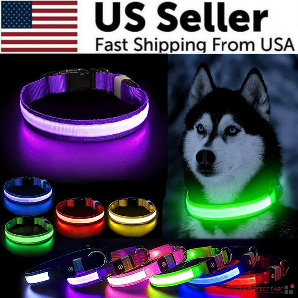 "Illuminate Your Pup's Nighttime Adventures with our Stylish and Waterproof LED Dog Collar - Ensuring Safety and Fashion!"