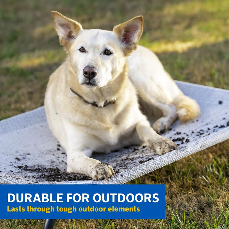 "Stay Cool and Comfy: The Ultimate Elevated Dog Bed for Indoors and Outdoors - Medium Size in Sleek Gunmetal"