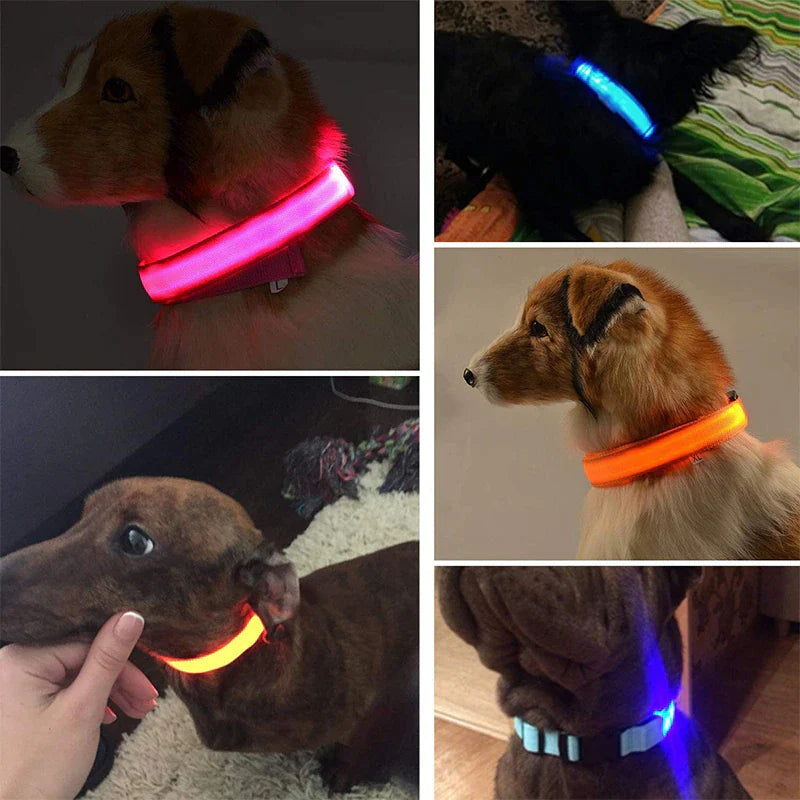 "Illuminate Your Pup's Nighttime Adventures with our Stylish and Waterproof LED Dog Collar - Ensuring Safety and Fashion!"