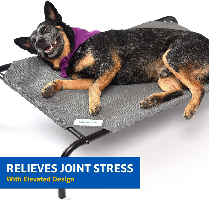 "Stay Cool and Comfy: The Ultimate Elevated Dog Bed for Indoors and Outdoors - Medium Size in Sleek Gunmetal"