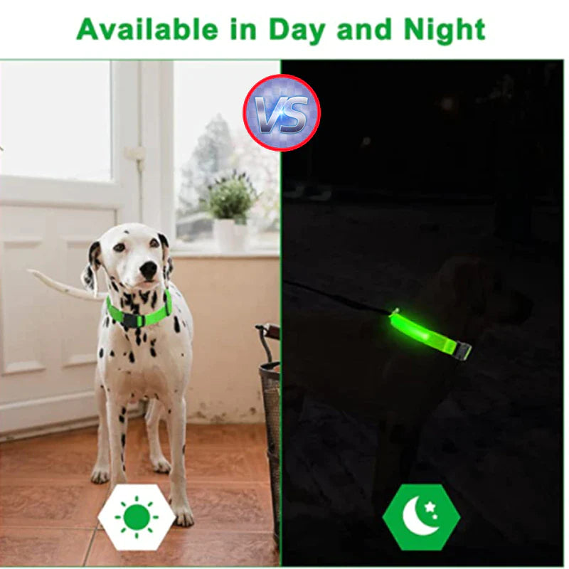 "Illuminate Your Pup's Nighttime Adventures with our Stylish and Waterproof LED Dog Collar - Ensuring Safety and Fashion!"