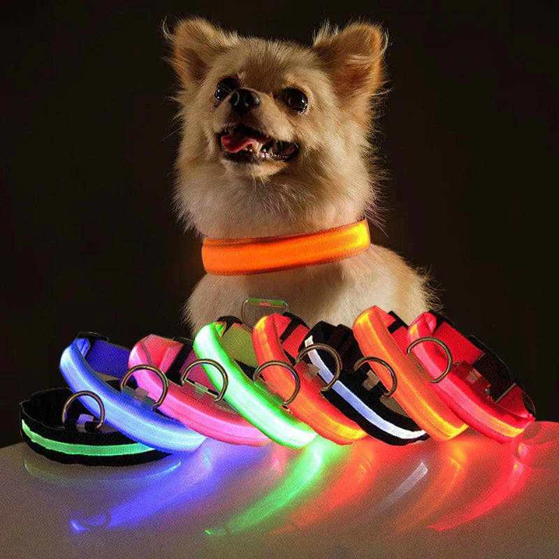 "Illuminate Your Pup's Nighttime Adventures with our Stylish and Waterproof LED Dog Collar - Ensuring Safety and Fashion!"