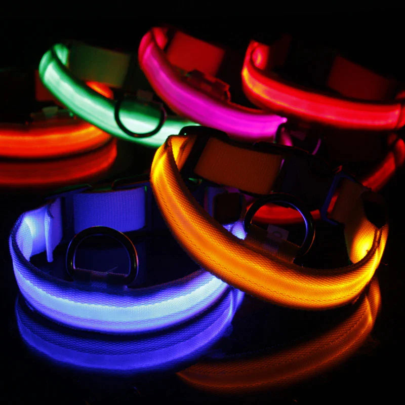 "Illuminate Your Pup's Nighttime Adventures with our Stylish and Waterproof LED Dog Collar - Ensuring Safety and Fashion!"