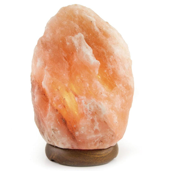 Himalayan Pink Salt Lamps + 12V 12W Switch - Natural Rock Shape Crystal Light-0